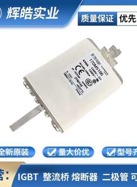 170M5196 170M5248 170M5388快速低压新能源熔断器型号齐全