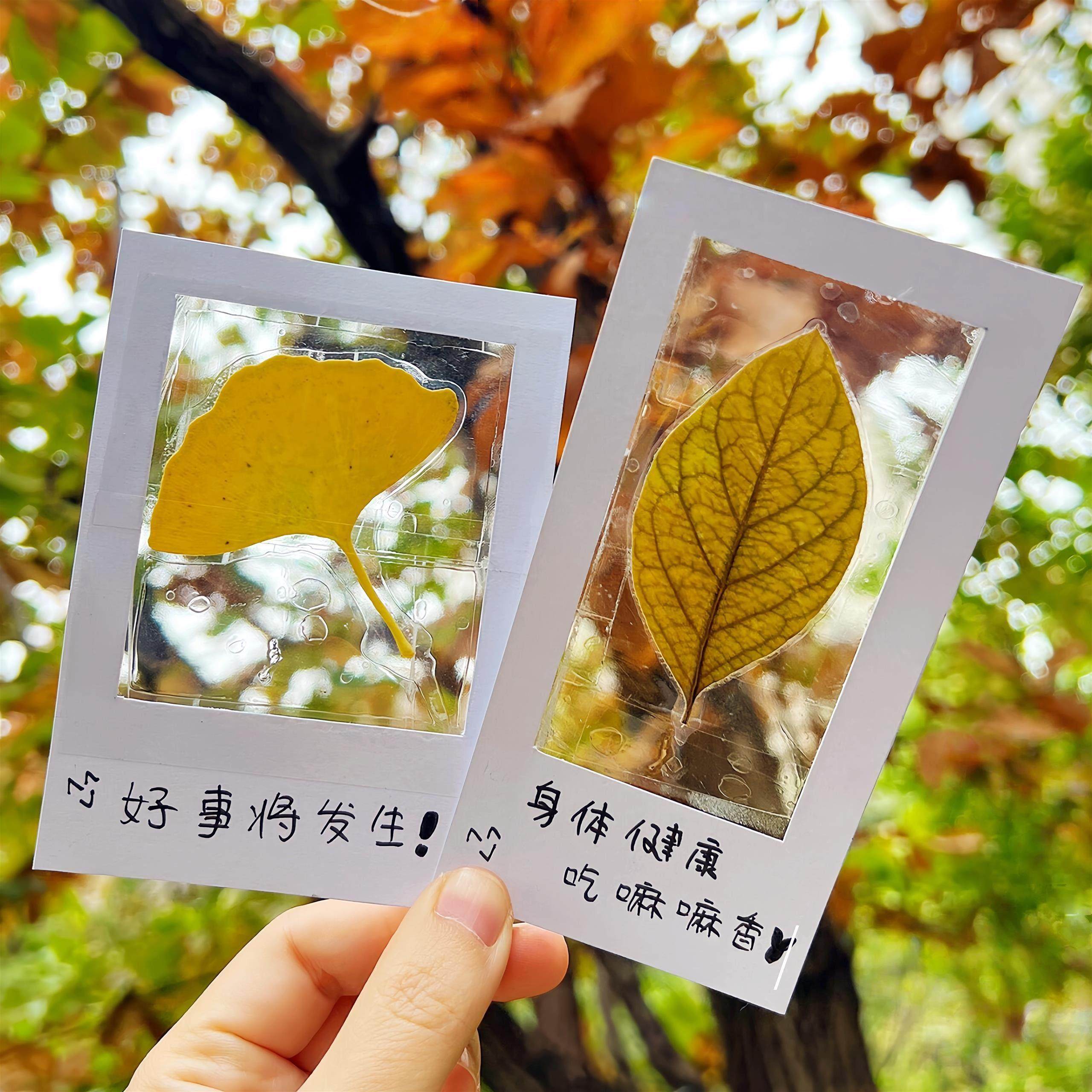 银杏叶书签塑封杏叶书签标本干花压花书签手工diy材料包透明植物,文具电教/文化用品/商务用品,书签,淘宝优惠券,粉丝福利购,淘宝优惠卷