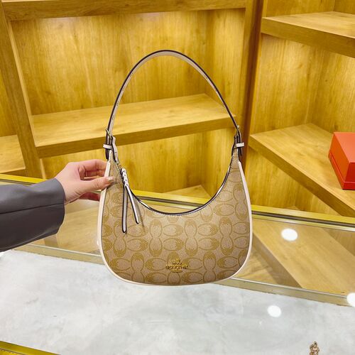 法式高级感腋下包包女2025新款时尚月亮包印花单肩包百搭手提女包