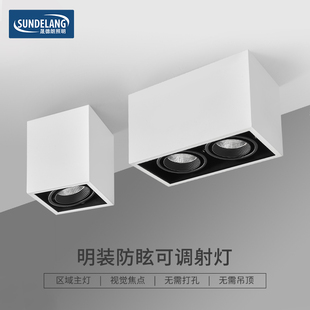 明装 射灯可调角度双头斗胆灯客厅无主灯格栅灯玄关过道灯吸顶筒灯