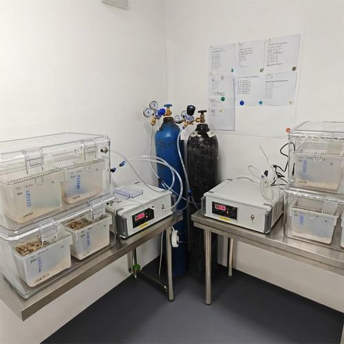 实验室动物低氧箱小鼠缺氧饲养系统常压氧舱氧浓度控制器缺氧模型