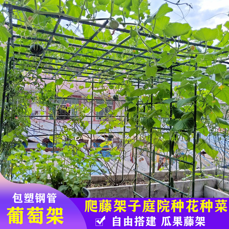 葡萄架子户外爬藤架子花支架包塑钢管丝瓜百香果庭院攀爬架支撑杆