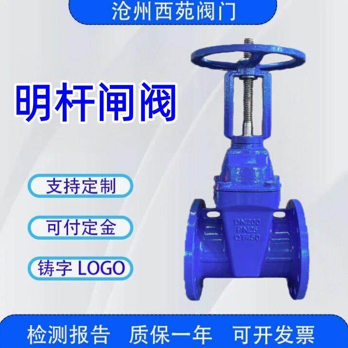 国标软密封法兰小体明杆闸阀弹性座封楔式阀门水利排水截止开关阀