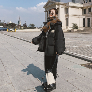 【现货冬款】新货时尚羽绒服201-9506短款-P235-控358图片