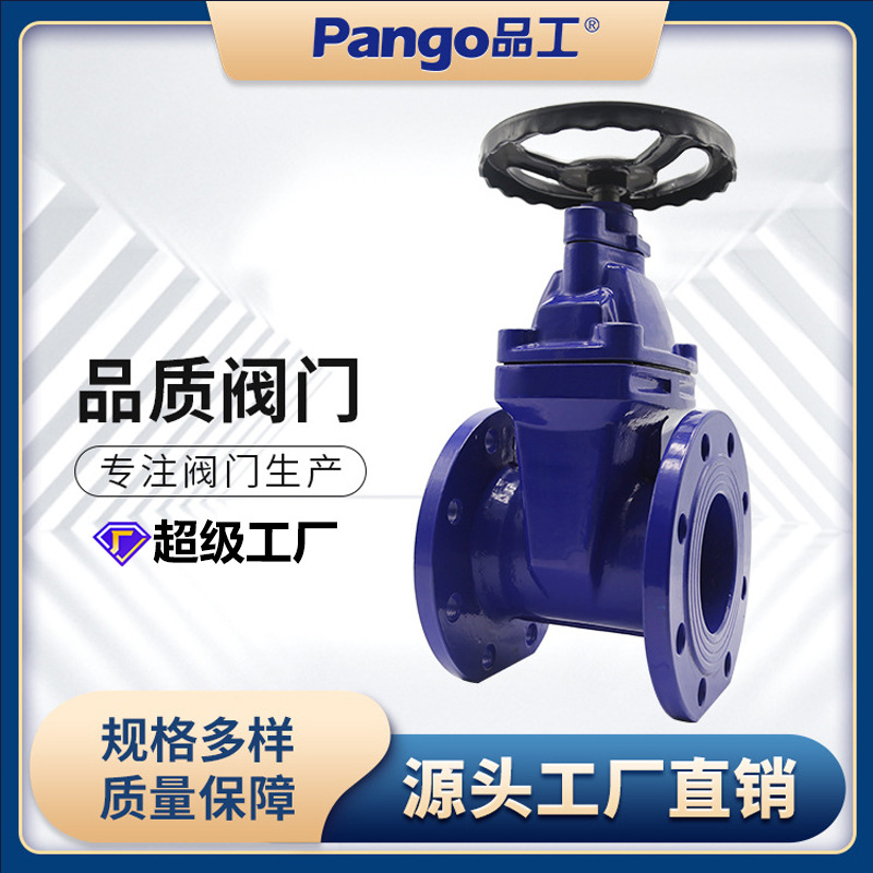 定制Z45X软密封法兰闸阀暗杆闸阀球墨铸铁弹性座封闸阀严选阀门