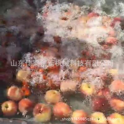 多功能娃娃清洗菜韭白XNU菜油菜桃蓝莓鼓泡喷淋连续菠式清菜洗设