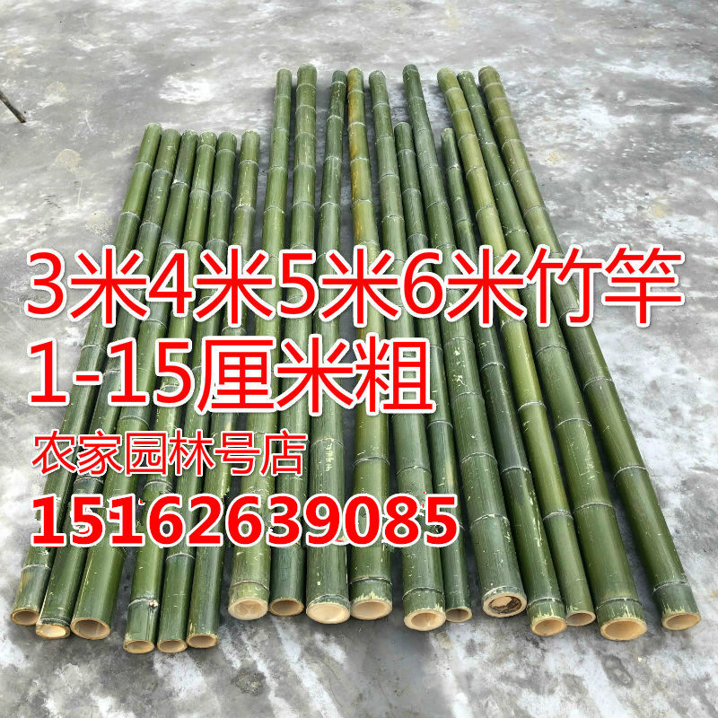 3米4米5米6米长l细小竹杆粗大毛竹菜园搭架子晾衣竹 竿竹杆架 种