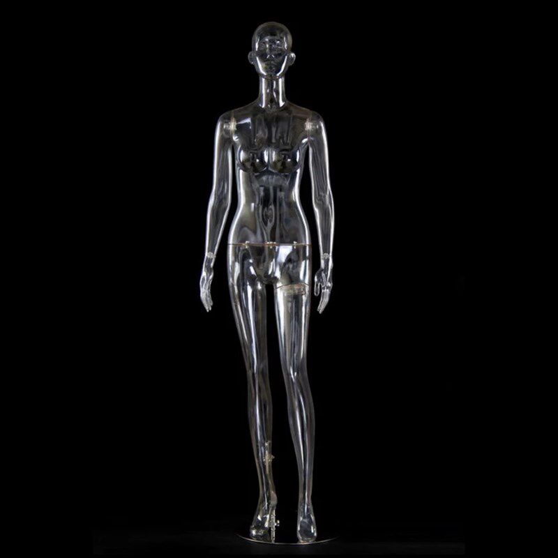 新款透明假模特 3D立体拍照男女全半身道具方形底座 内衣裤胸臀模