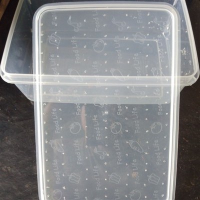 2022新款蚯蚓养殖箱防逃耐用蚯蚓养殖专用箱P防逃透明多功能养殖