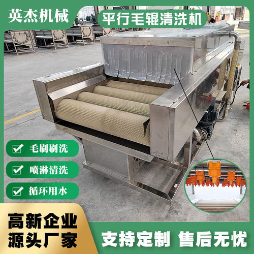 商用全自动果蔬平行毛辊清洗机 大枣山楂高压喷淋毛辊清洗线