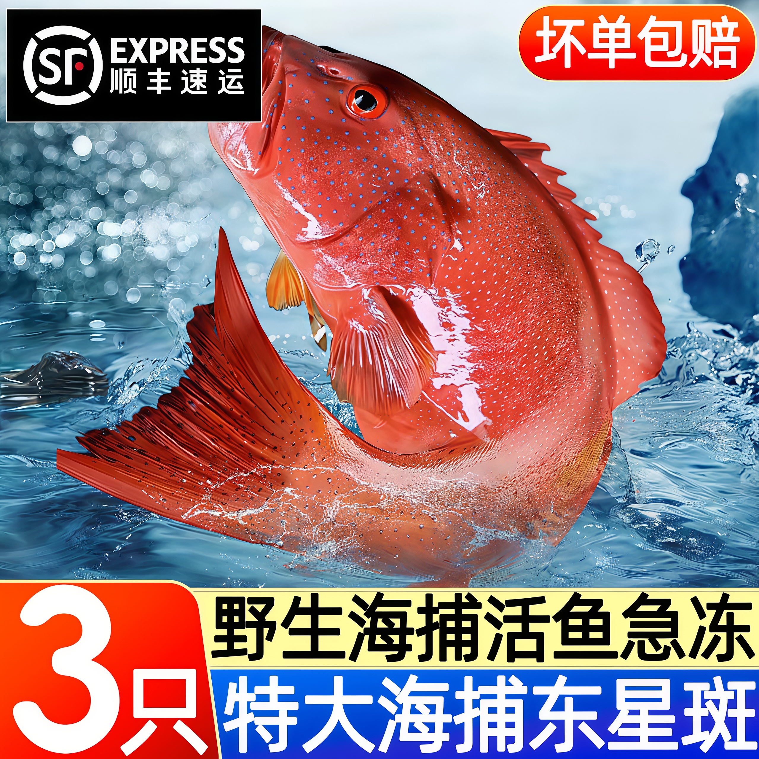 深海东星斑红石斑鱼速冻顺丰
