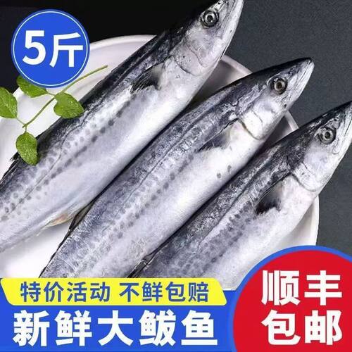 青岛大鲅鱼冷冻整箱商用顺丰