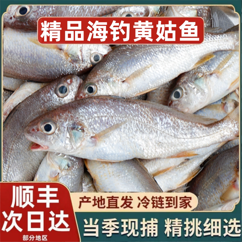 5斤装海捕小黄姑子顺丰包邮