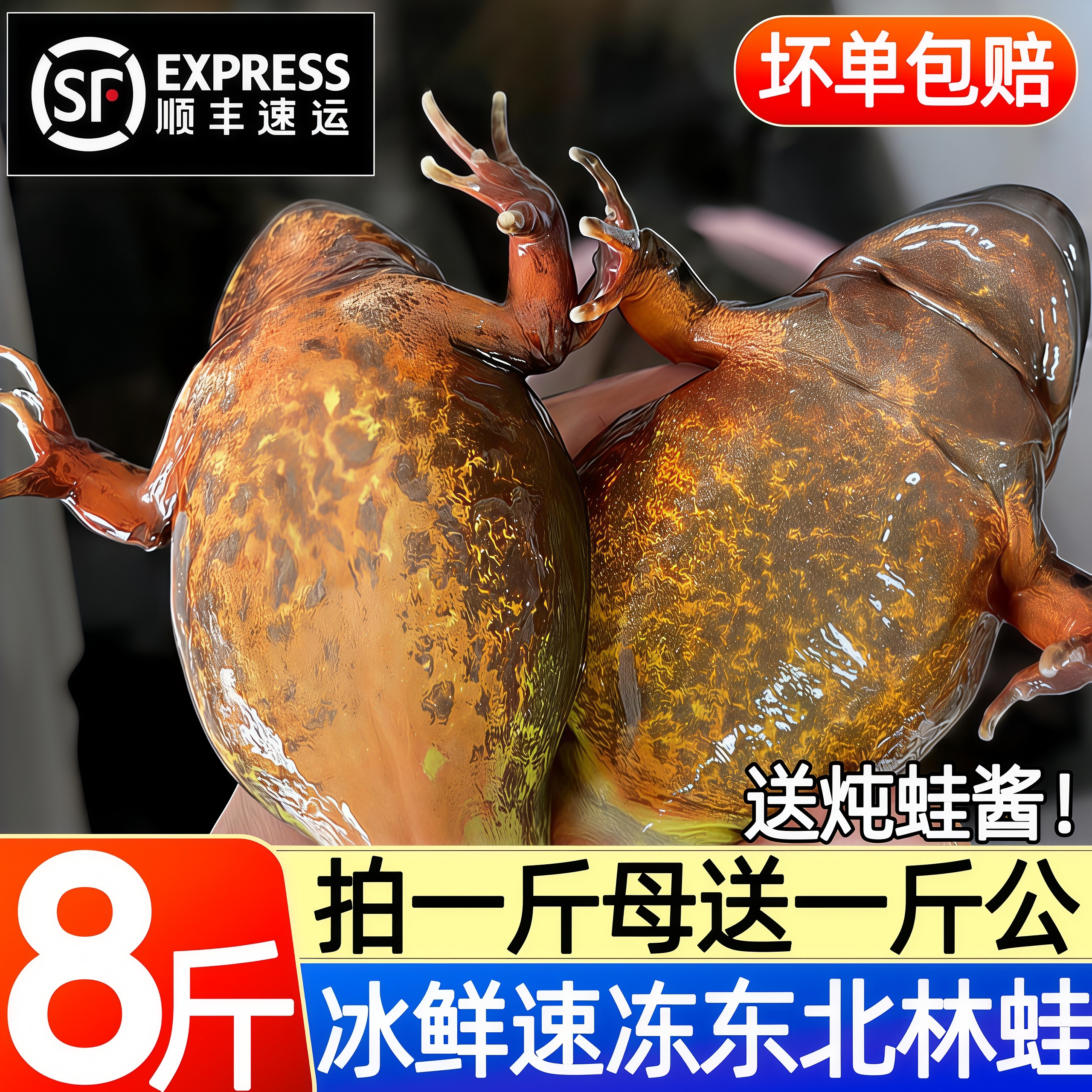 东北林蛙冰鲜速冻满油满籽顺丰