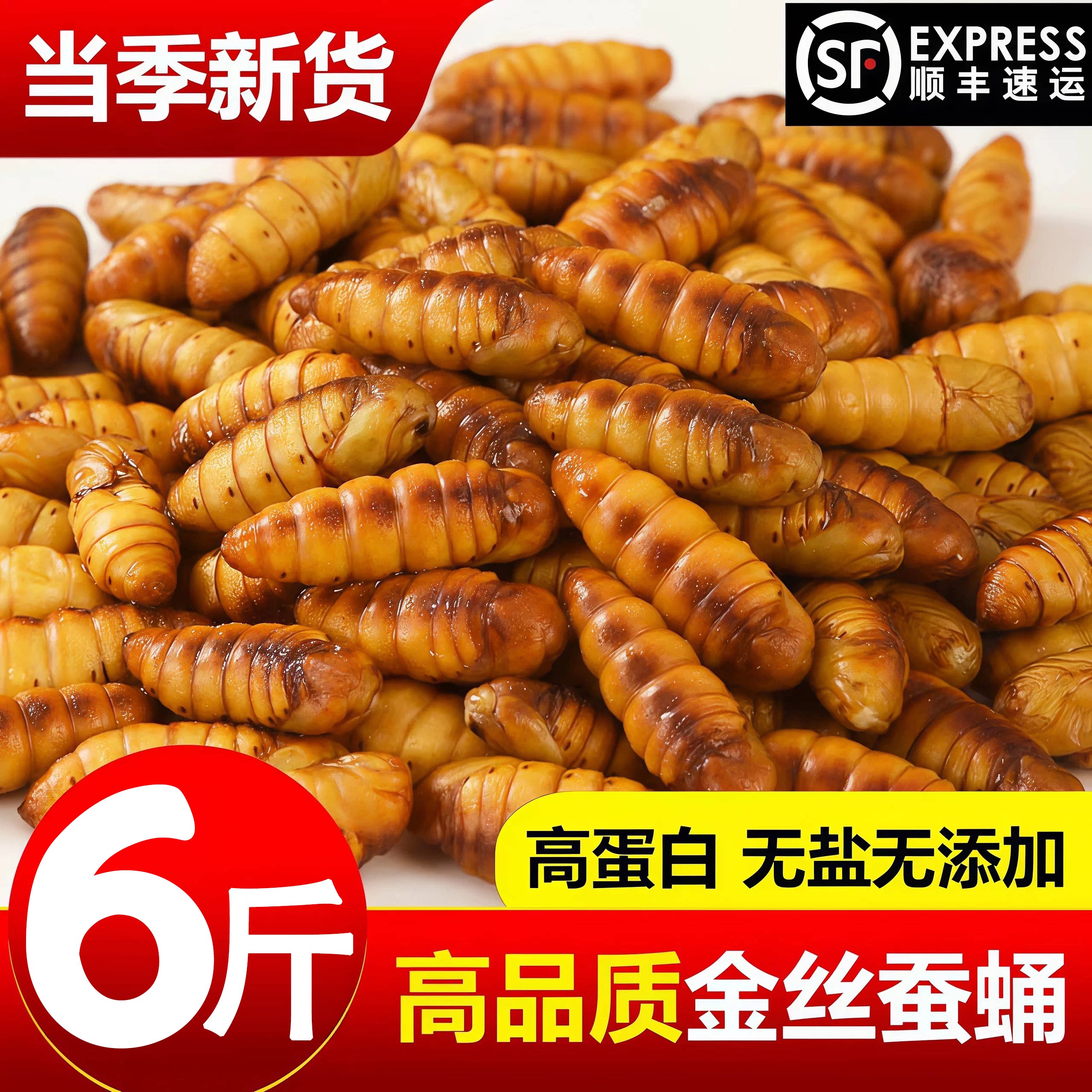 山东特产金丝蚕蛹无盐冷冻烧烤