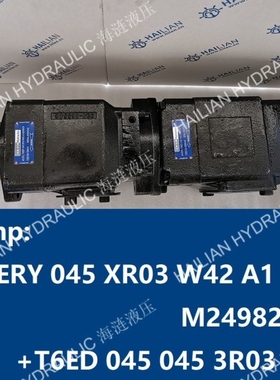 油泵T6ERY 045 XR03 W42 A1 M249828+T6ED 045 045 3R03 B1