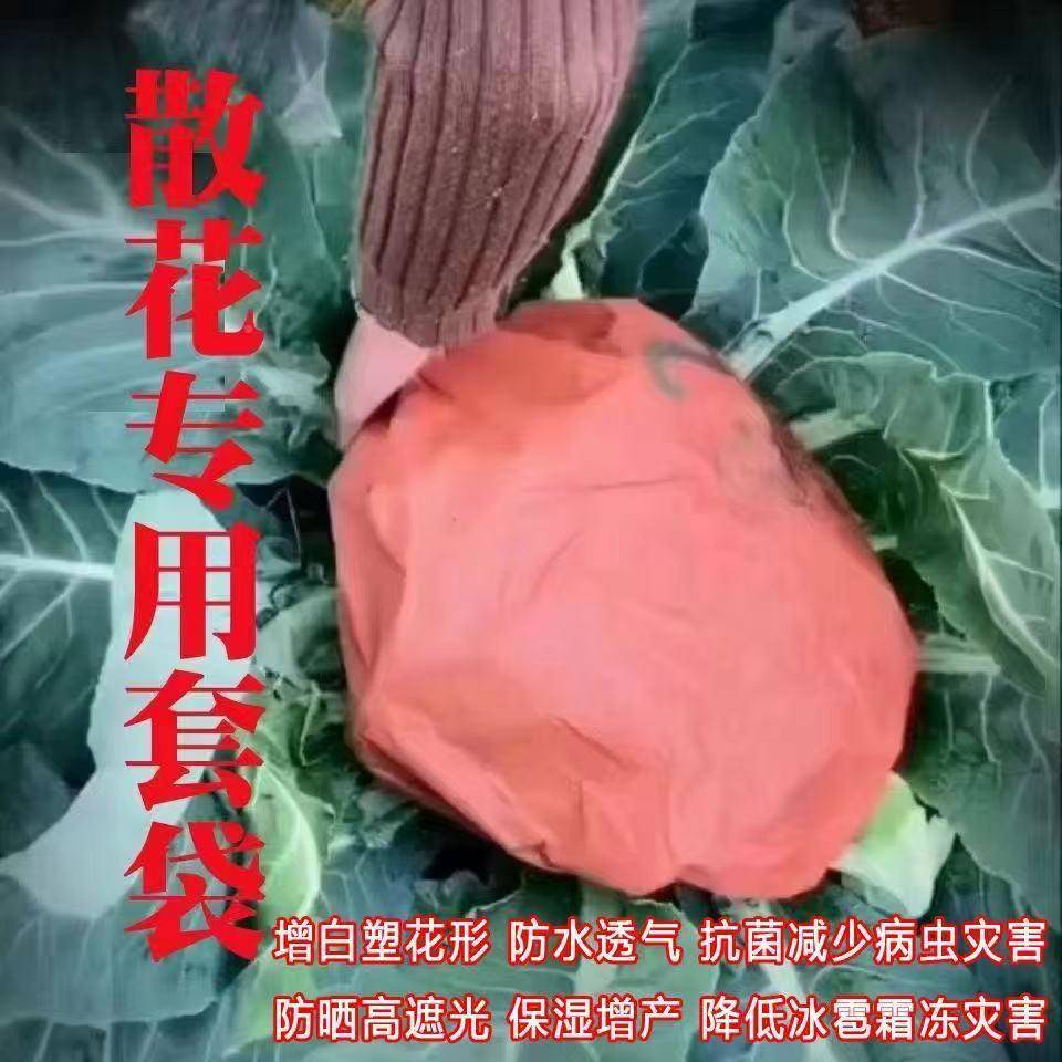 松花套袋花防TEC虫袋有机菜花霜菜保护套防散水防晒防冻增白花套