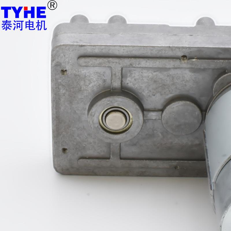 103GB77微型12V245V直出流TJP103FT减速电机扭矩高功率高电动机币