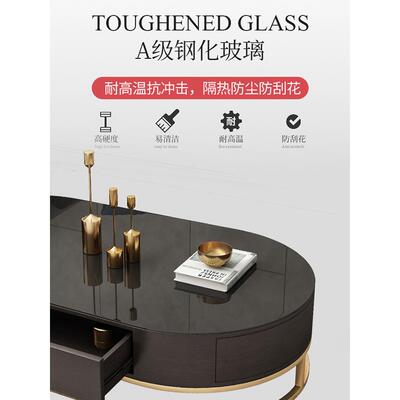 现轻奢椭形岩板茶几电视圆柜组约合ZG-60530小户型客厅家用代简新