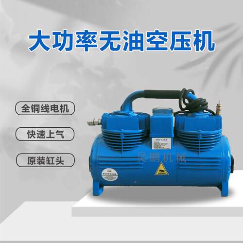 进口气AD泵无油机静机空音空压机小型气压缩石膏喷涂专用气泵原装