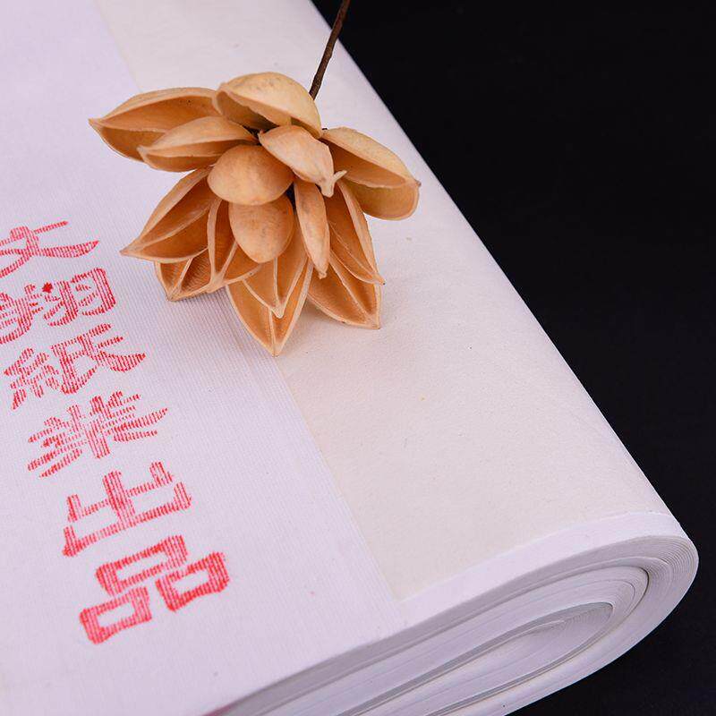 小六书檀皮宣生宣尺小六尺生毛笔法国画作品专用宣纸练习纸