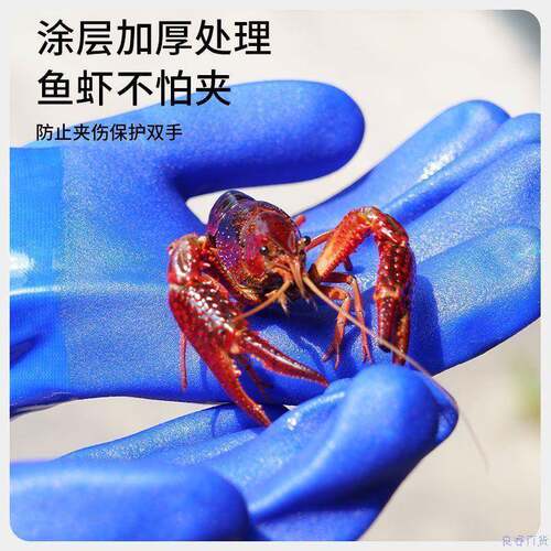 产耐c酸碱橡胶加长pv防水刺护袖捕抓卖鱼手套挖XJI藕水防劳保厨房