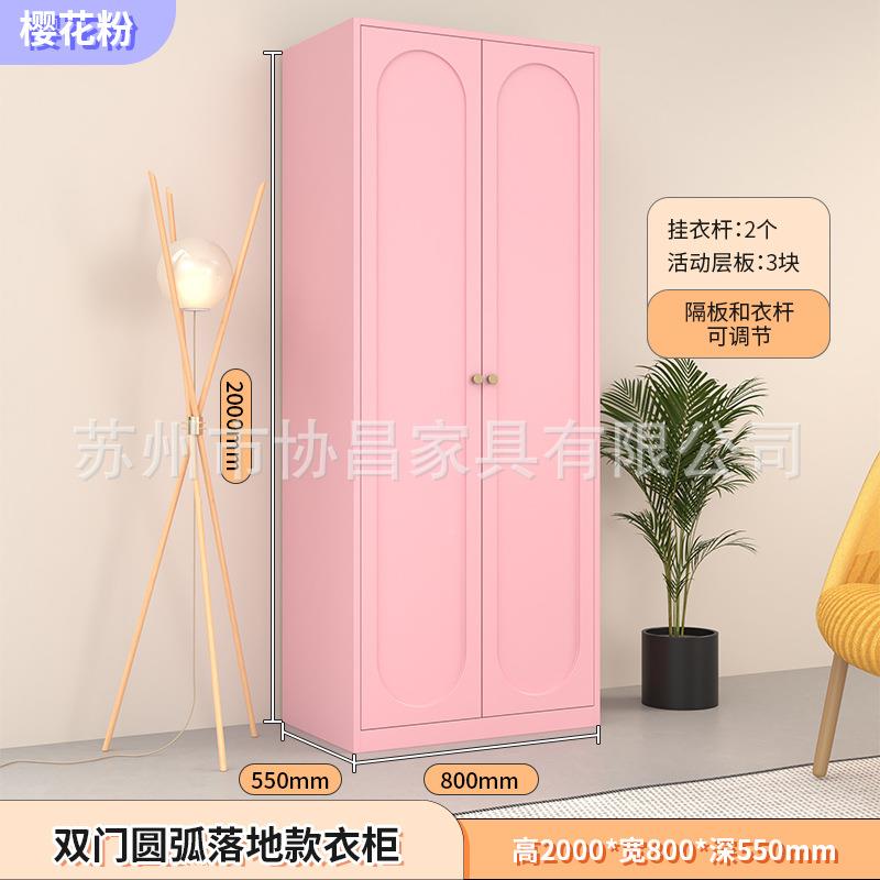 彩家KOQ用钢制现代醛柜色大衣铁皮儿童卧室简约衣橱成人阳台储物