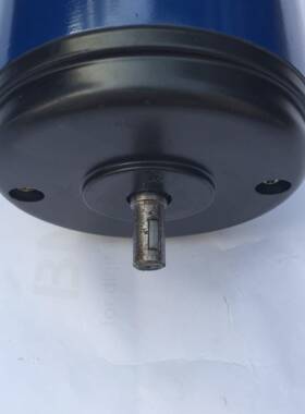 110SZ52A1卧式直电机直流伺服动机(图5）18电W220VCGE微型电流机