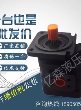 高压齿轮泵CB-J2032/2040/J2050/2063/2080/2100-F1-1R/2R/L油泵