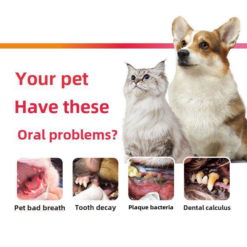 Beaphar牙膏狗牙刷猫和狗牙刷套装牙石去除口臭宠物食用