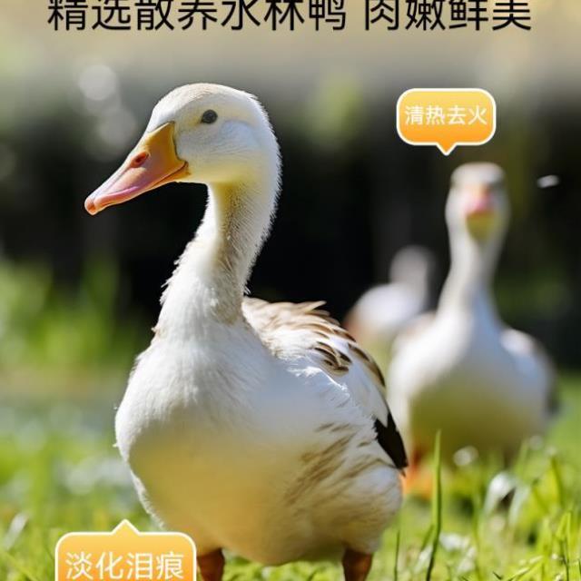 宠物猫咪臻选冻干桶系列鸡肉粒增肥发腮补充营养训练奖励小零食