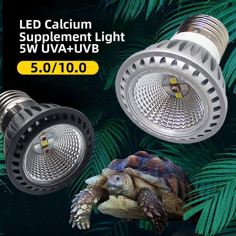 芦丁鸡补钙灯UVB晒背灯爬宠爬虫UVA乌龟蜥蜴陆龟守宫饲养箱杀菌灯