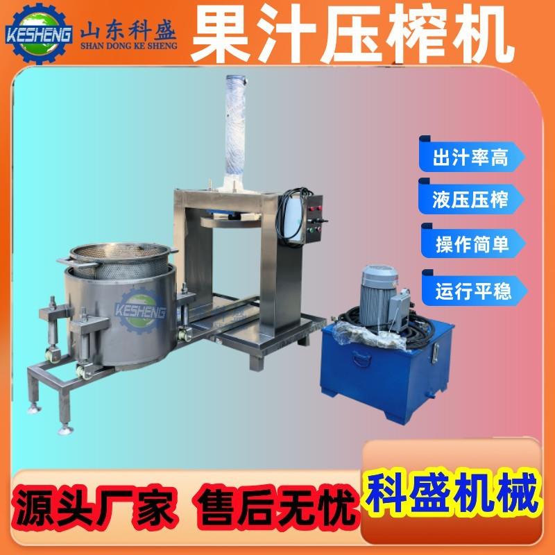 果蔬酵素液压压榨机 人参液提取过滤机 青梅果酒过滤压榨机