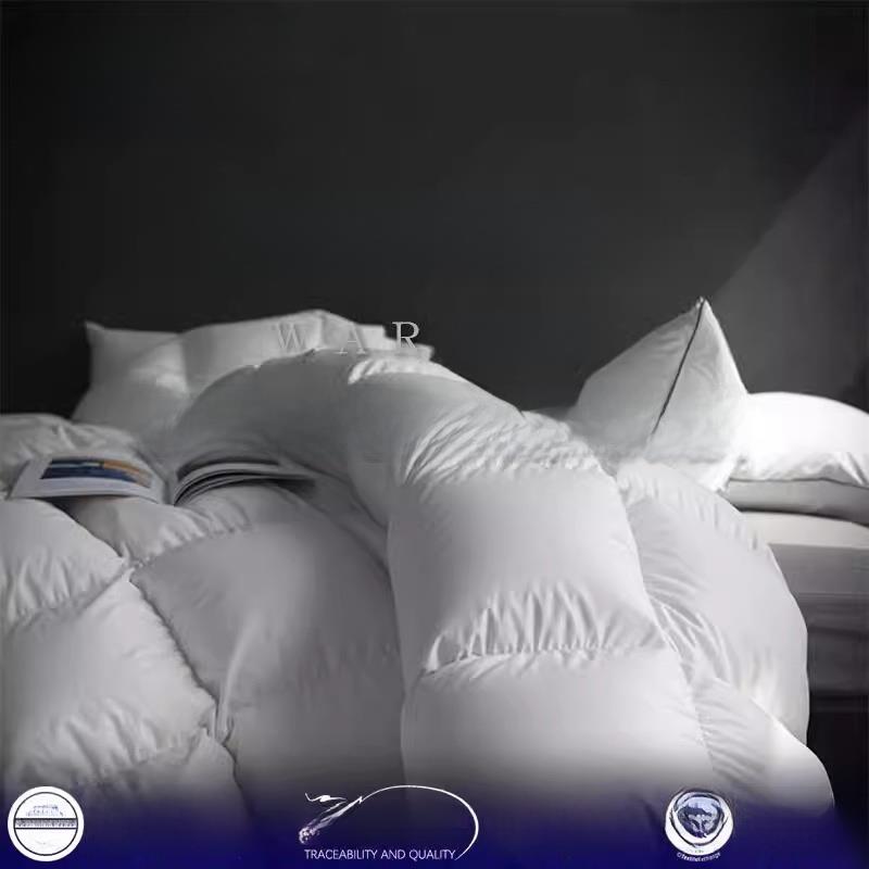 波兰进口羽绒被98白鹅绒被冬被子加厚保暖春秋被芯空调被地暖气被