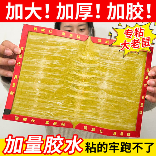 狼威仕加厚粘鼠板超强粘力