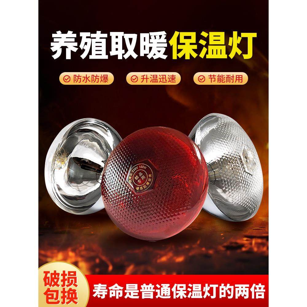 加厚防水防爆仔猪保温箱用灯泡养殖取暖灯猪牛羊鸡鸭用保温专用灯,畜牧/养殖物资,养殖保温灯,淘宝优惠券,粉丝福利购,淘宝优惠卷