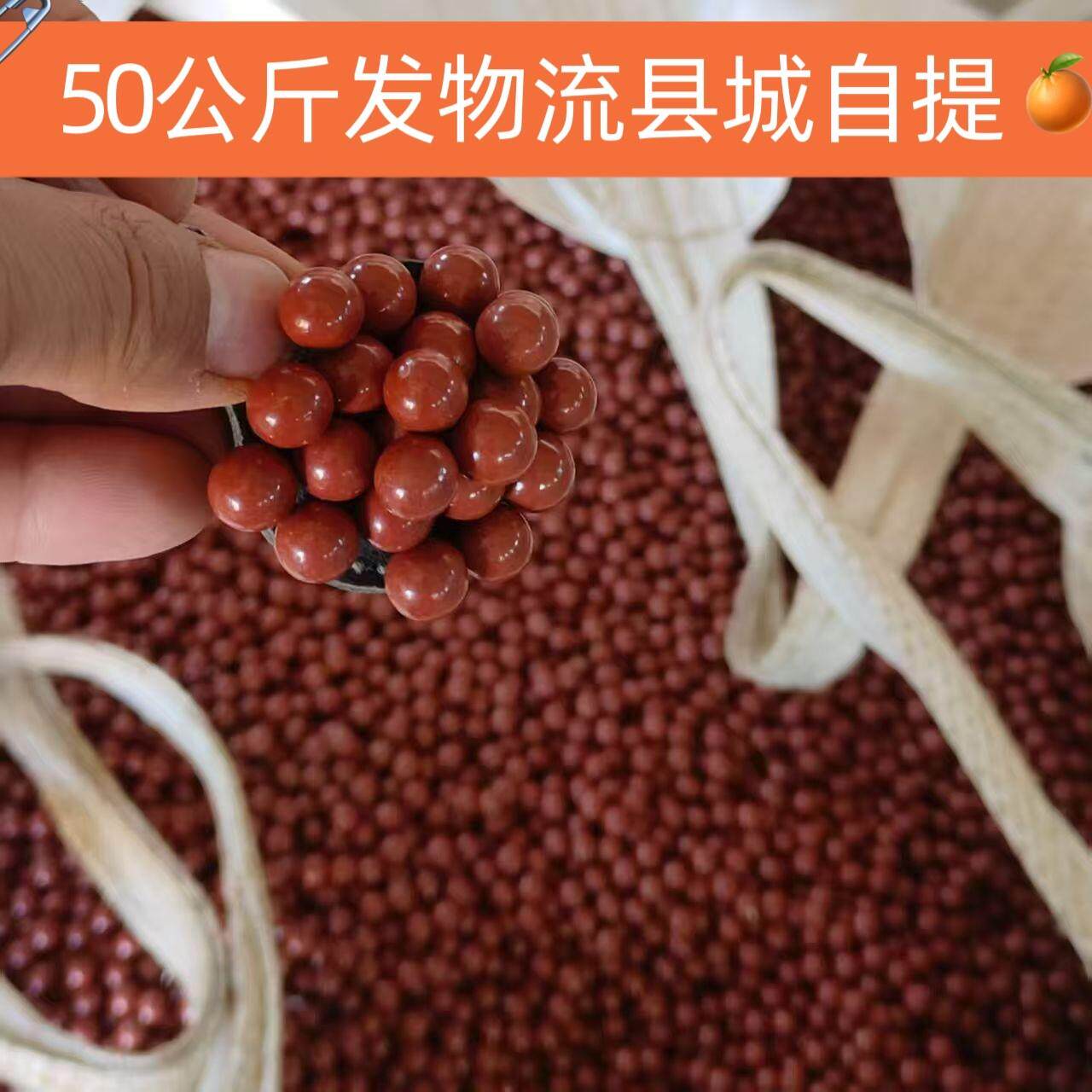 新款红色磁力加重50公斤取8MM发物流9弹弓蛋粮钢珠球10毫米包运费