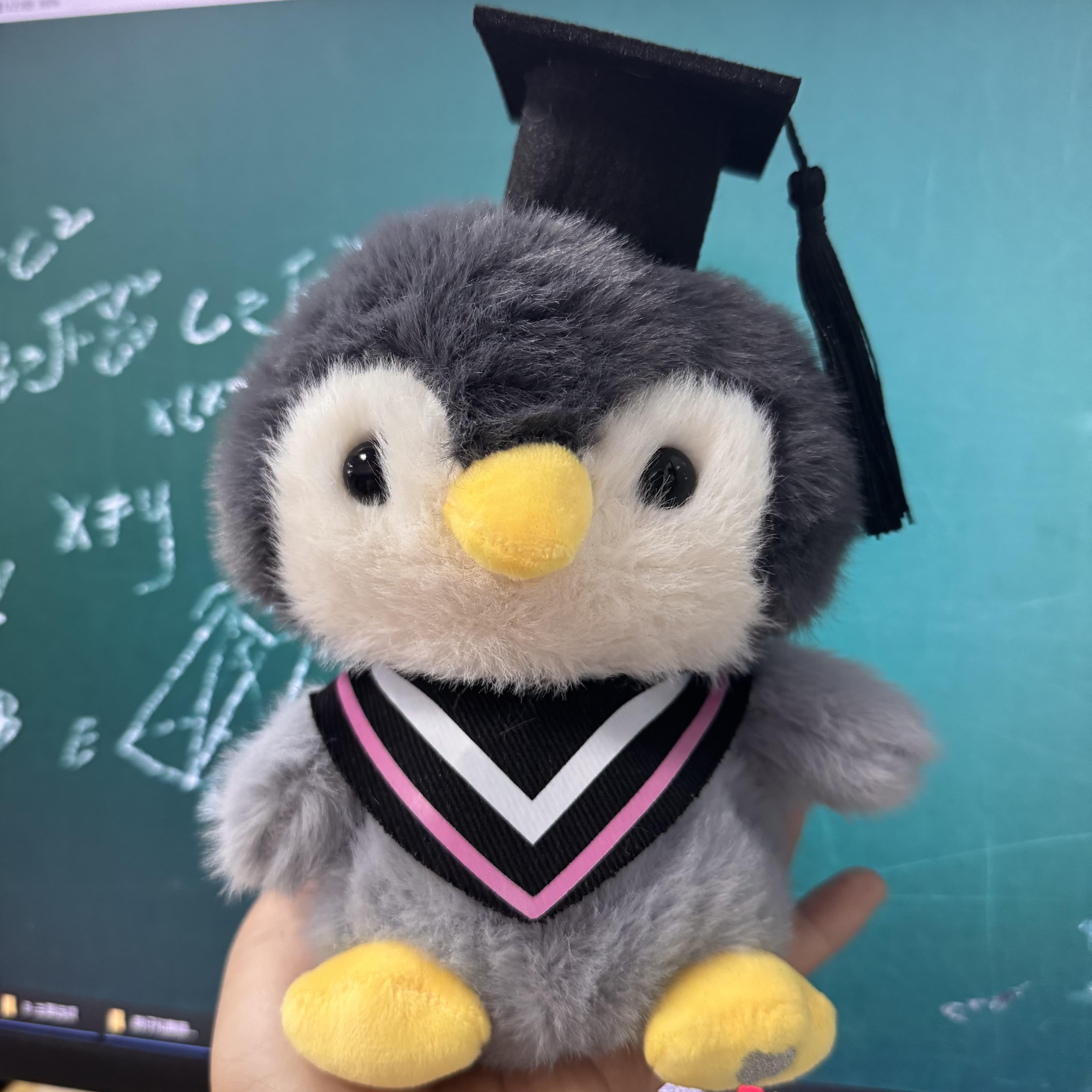 小学毕业礼物送女生毛绒玩具学士服小企鹅玩偶公仔同学幼儿园礼品