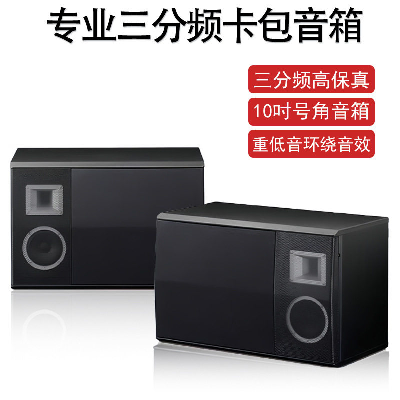 KMS2500 专业卡拉OK音响多媒体会议舞蹈教室KTV家庭卡包音箱设备