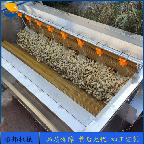 全自动花生清洗机 不锈钢毛刷式花生果清洗设备 大型洗花生机器