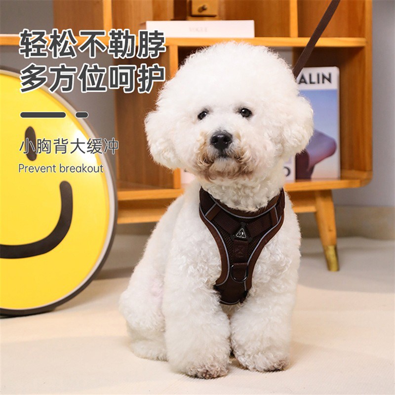 猫咪牵引绳防挣脱外出专用绳泰迪狗狗胸背带可调节网红遛猫神器