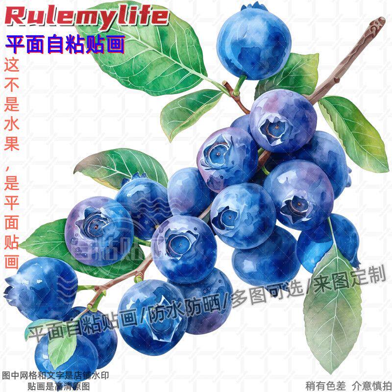 仿真清新蓝莓图案贴纸墙贴自粘贴画装饰餐厅酒柜厨房冰箱柜子门窗