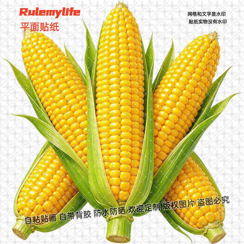 新款玉米蔬菜仿真贴纸自粘贴画玉