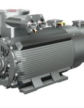 YBBP112M-2 4KW 冷却方式 132 及以下 :IC411 160~355:IC416