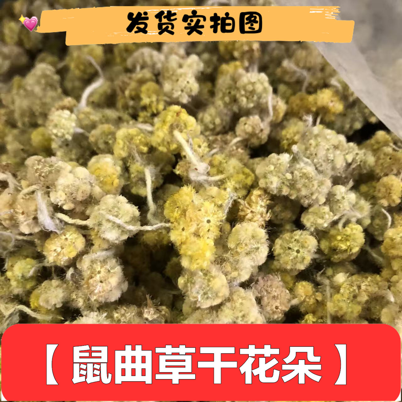 新鲜干品采摘鼠曲草花朵包邮全草叶泡茶实拍包邮50克g熬水花材料