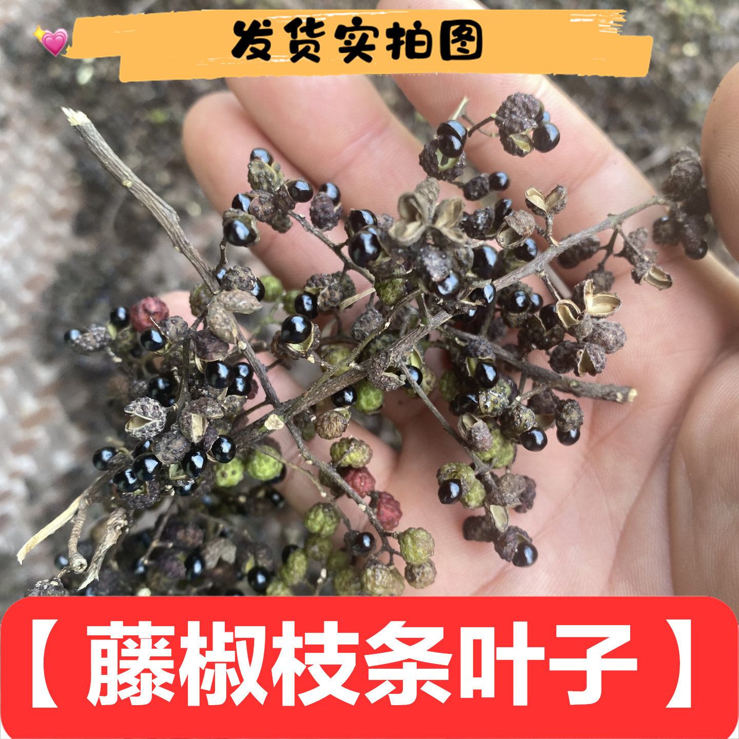 新鲜藤椒竹叶花椒野椒山椒子树叶子枝条杆子熬水煲汤泡酒洗澡