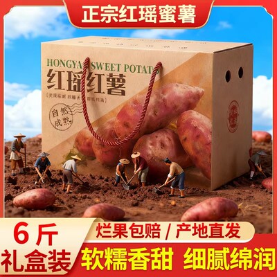 天津红瑶蜜薯宁河岳龙镇红瑶红薯黄金蜜薯榴莲地瓜黄心薯红瑶红薯