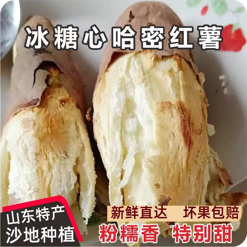 白心板栗薯新鲜红薯栗子香白薯白瓤地瓜红皮白心红薯干粉番薯9斤