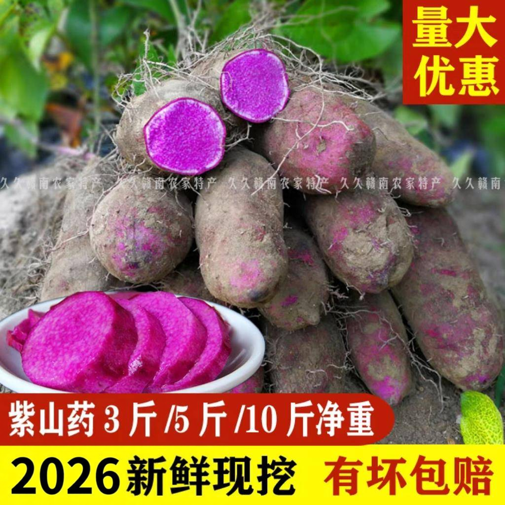 新鲜现挖赣南特产脚板薯紫玉淮山紫色山药紫淮山紫大薯5斤紫大薯