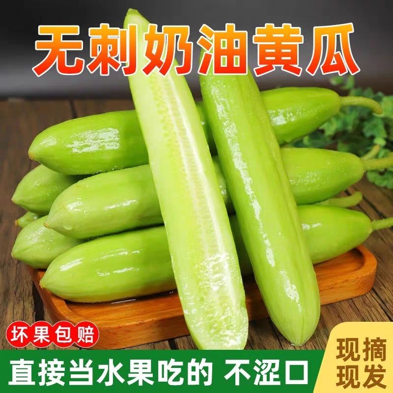 奶油无刺水果小黄瓜现摘现发新鲜水果蔬菜生吃凉拌沙拉白玉应季图片